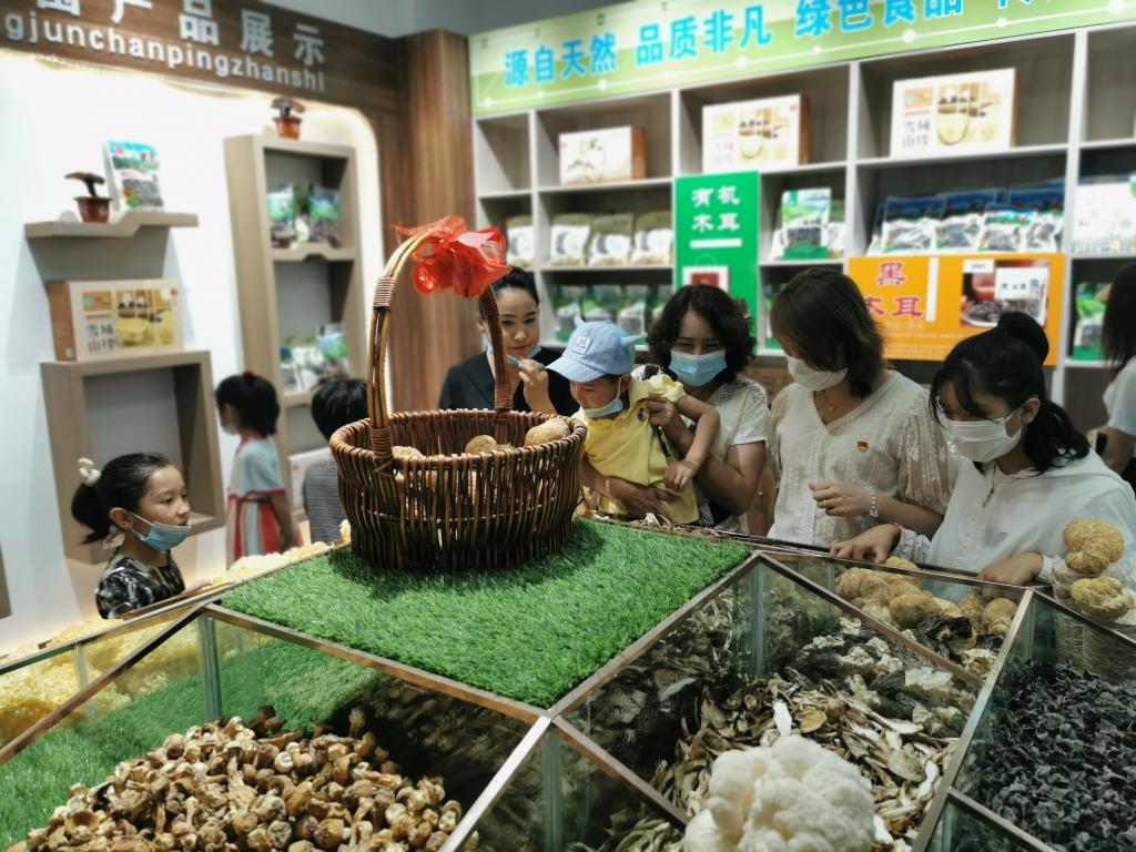 各族人民群众在从参观疏勒县食用菌生态科技示范园 各族人民群众在从参观疏勒县食用菌生态科技示范园